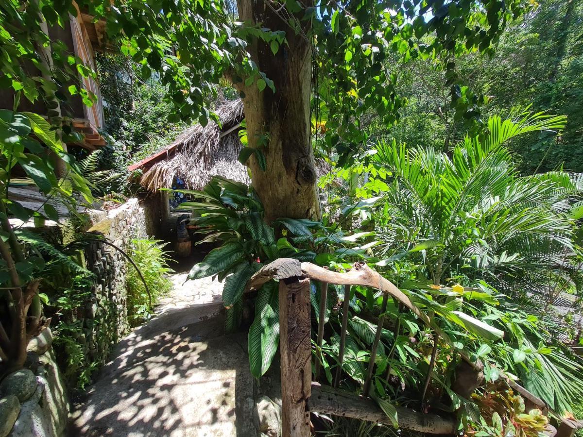 Eco Hostal La Perla Tayrona El Zaino Exteriör bild