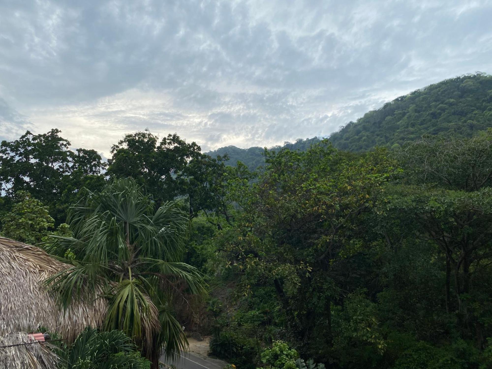 Eco Hostal La Perla Tayrona El Zaino Exteriör bild