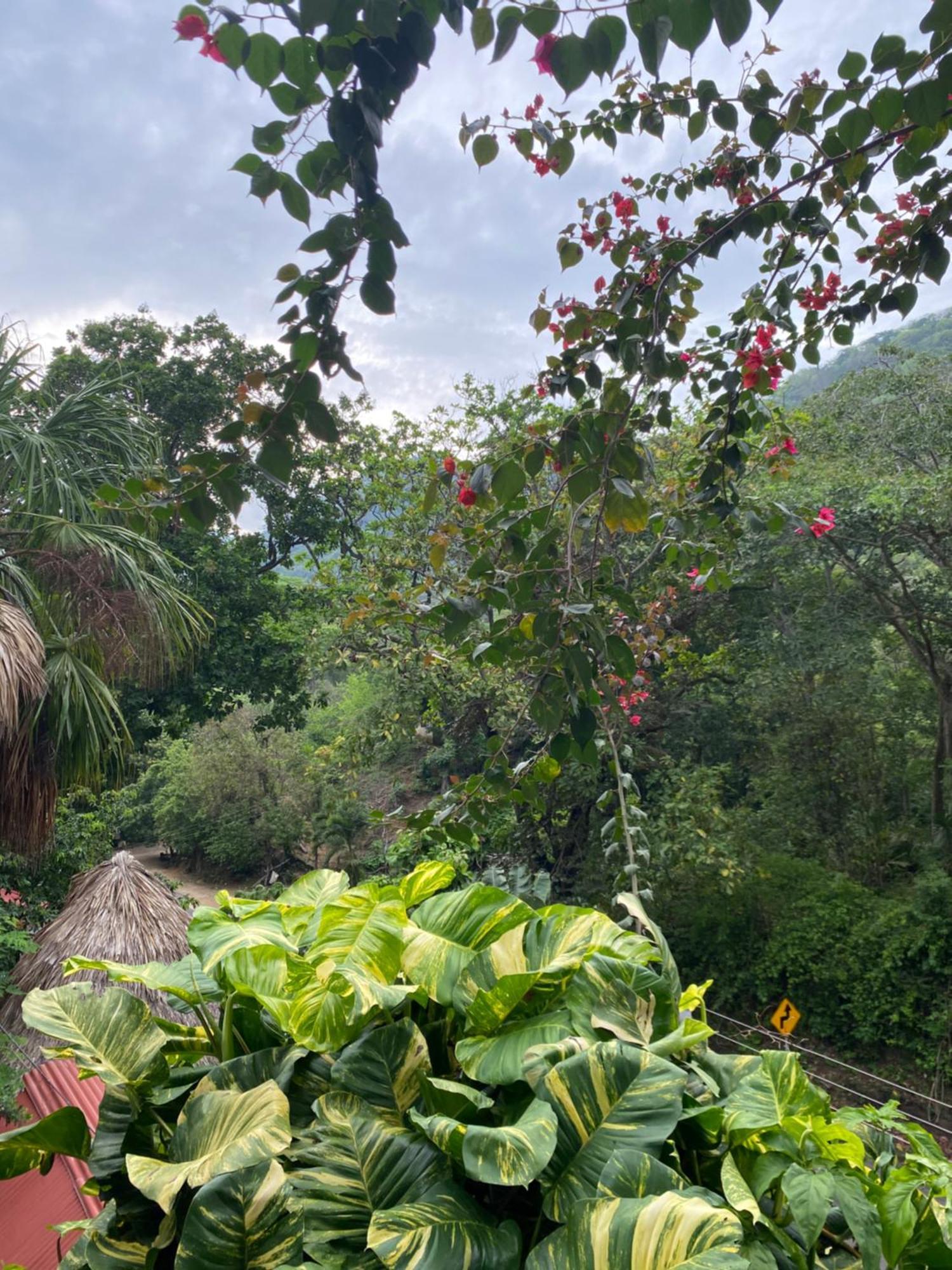 Eco Hostal La Perla Tayrona El Zaino Exteriör bild